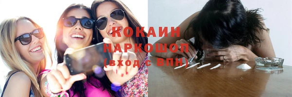 прущие крисы Надым