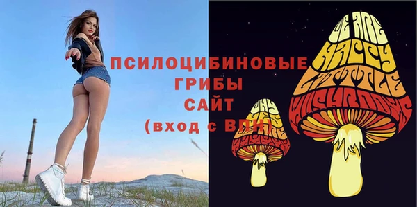 гидра Навашино