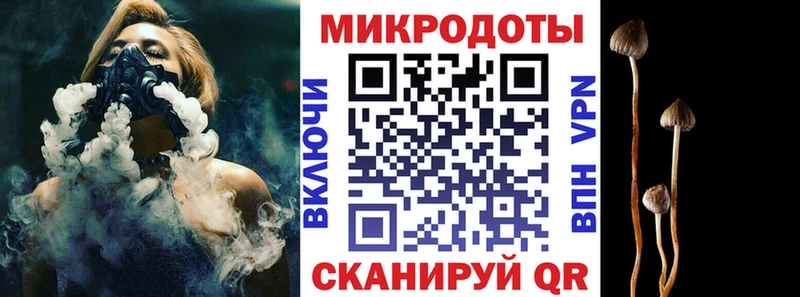 где продают наркотики  Заозёрный  сайты даркнета официальный сайт  Псилоцибиновые грибы Psilocybe 